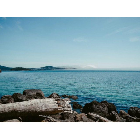 Aerodynamic Copper Shirt pt-PT